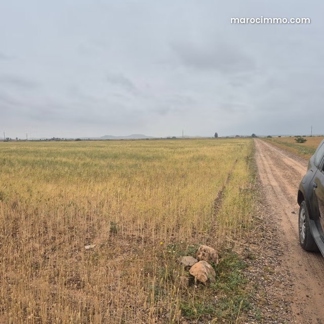 Vente de terrain titré à 13km Route Casablanca. Superficie 15000 m² — 2