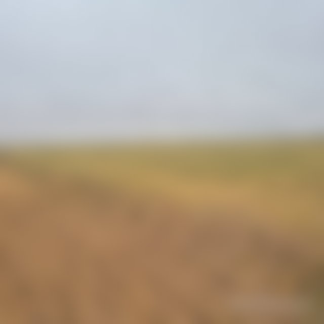 Terrain 15 000 m² Route de Casablanca, Marrakech — 4
