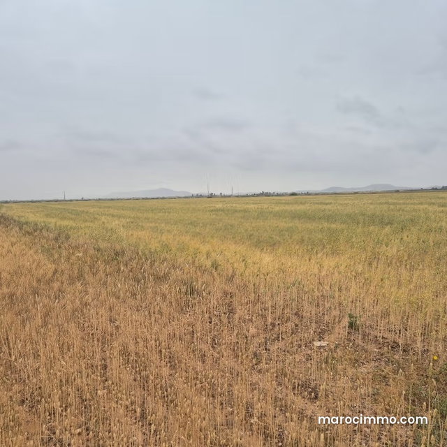Vente de terrain titré à 13km Route Casablanca. Superficie 15000 m² — 4