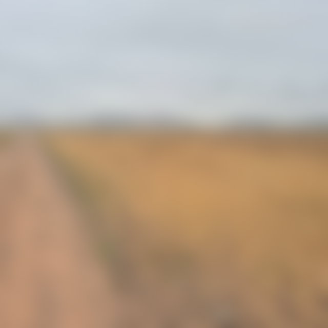 Terrain 15 000 m² Route de Casablanca, Marrakech — 3