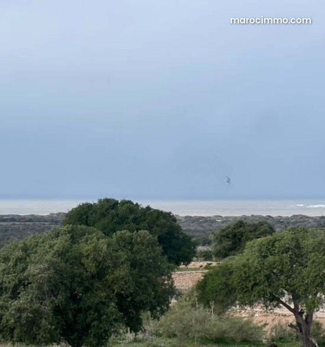 Terrain 10 000 m² vue mer, Ghazoua, Essaouira — Essaouira