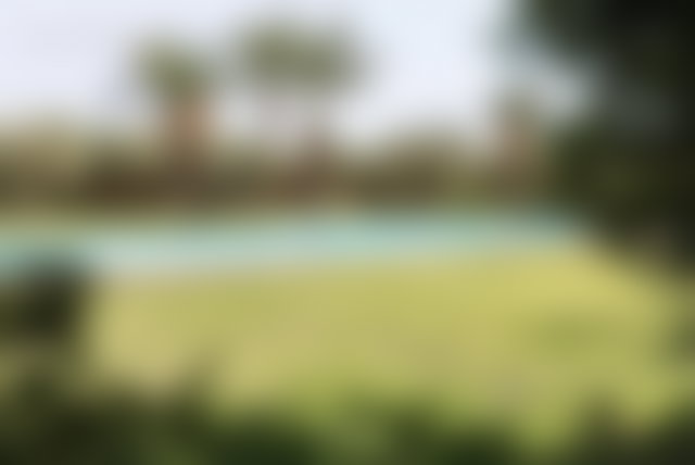 4-Bedroom Villa on 2 Hectares, Ourika Road, Marrakech — 4