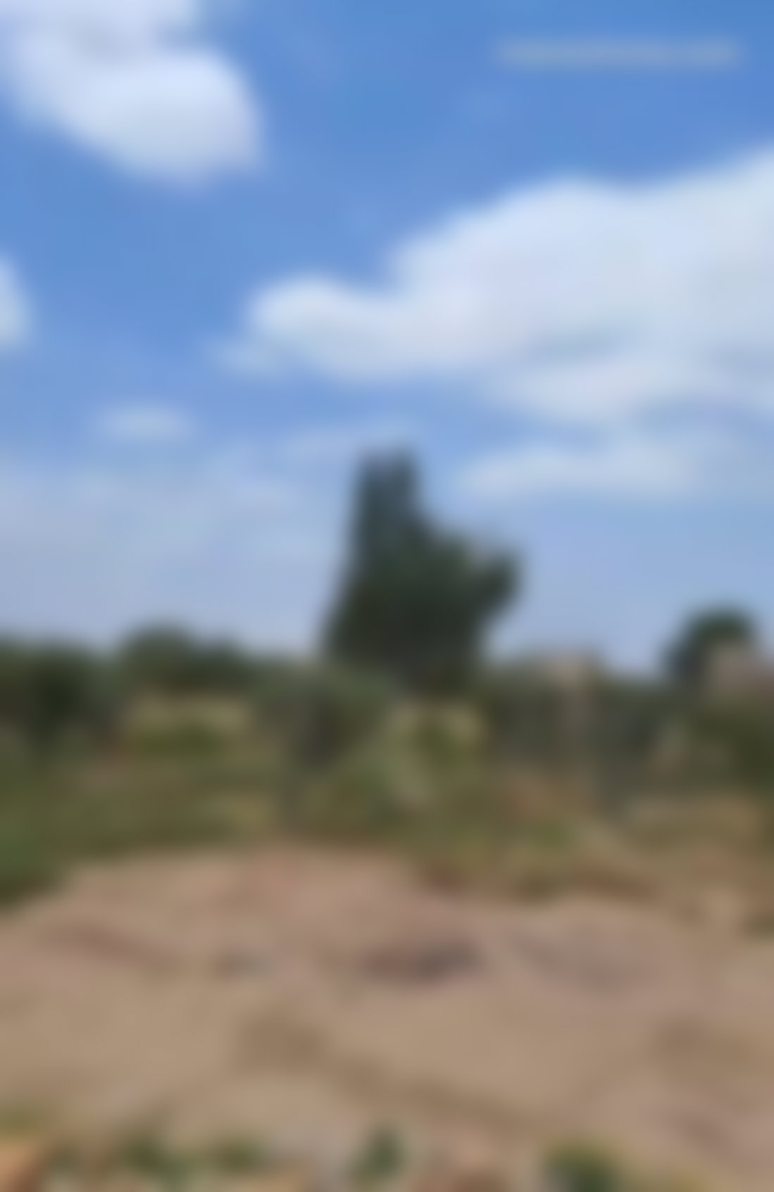 4,000 m² Plot with Atlas Views, Ourika Road, Marrakech