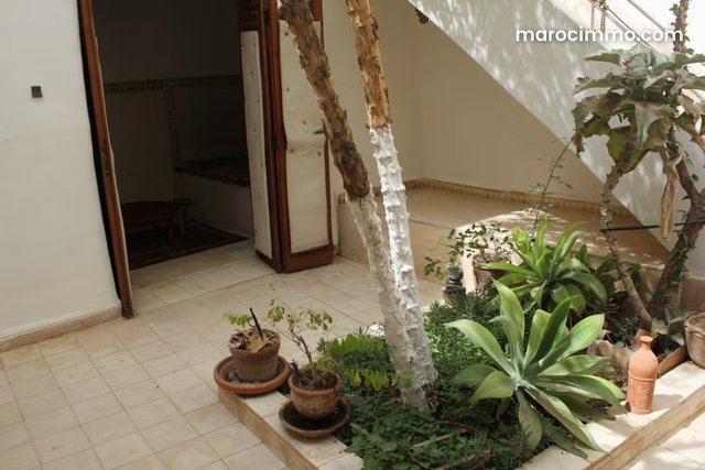 Riad titre en medina de taroudant — 5