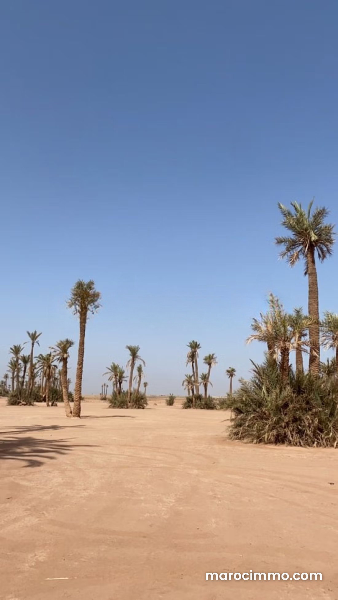Terrain viabilisé 507 m², Palmeraie, Marrakech — Marrakech