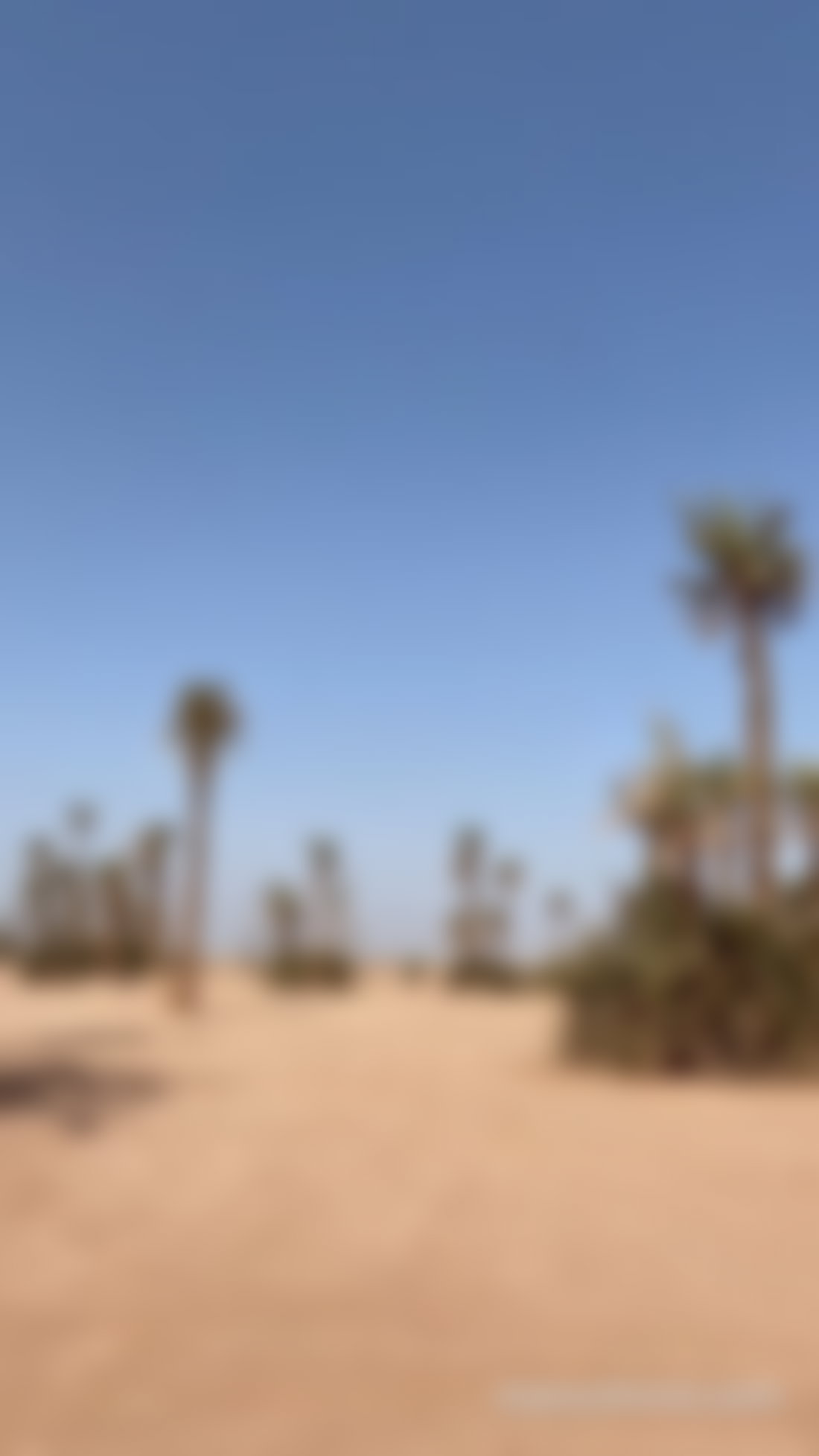 Terrain viabilisé 507 m², Palmeraie, Marrakech