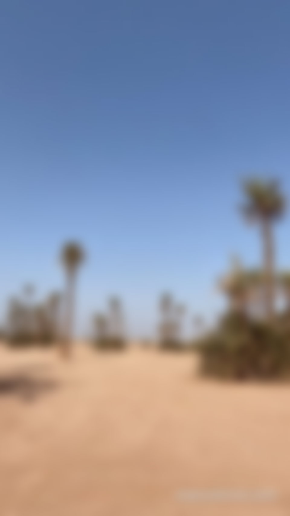Terrain viabilisé 507 m², Palmeraie, Marrakech
