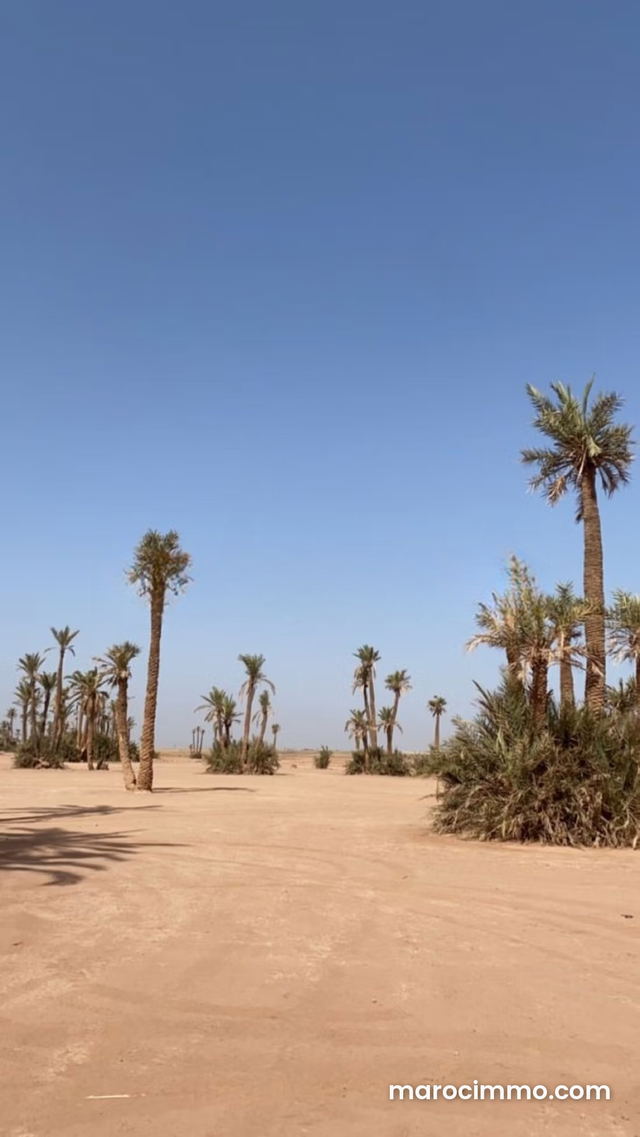Terrains titrés à ne pas rater la palmeraie — Marrakech