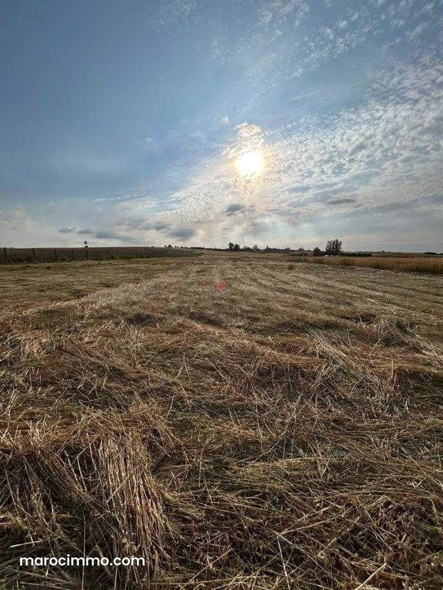 Sale Agricultural Land in Berrechid — 2