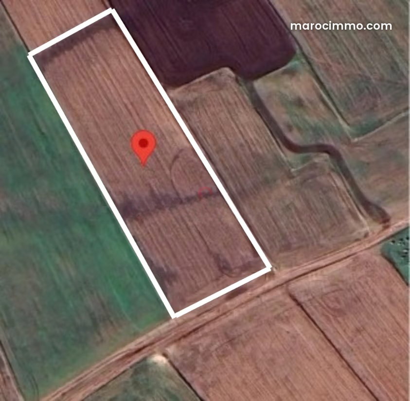 1-Hectare Agricultural Land for Sale in Berrechid — Berrechid