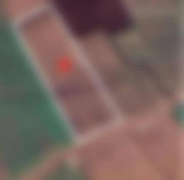 1-Hectare Agricultural Land for Sale in Berrechid — Berrechid