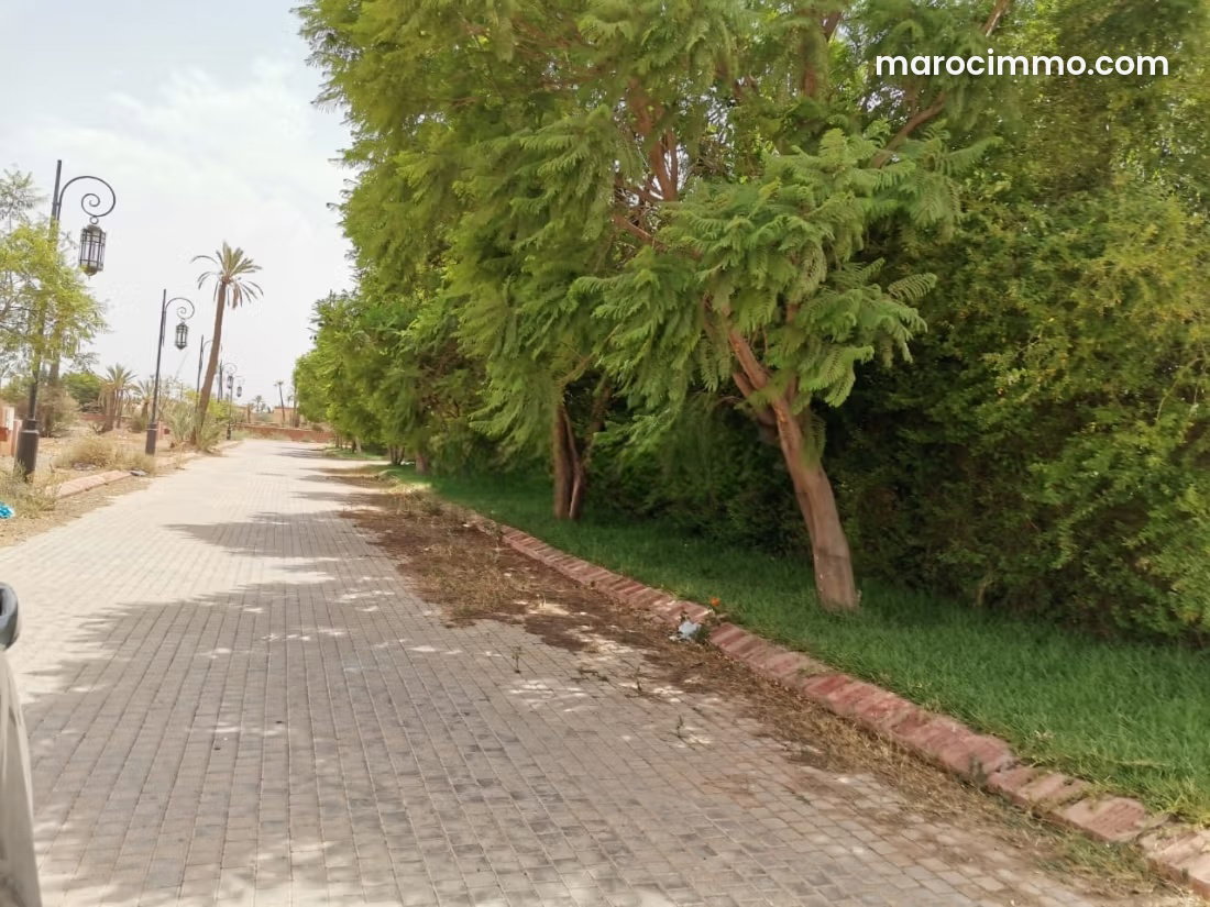 Domaine agricole de 73 hectares à vendre, Larache — Larache