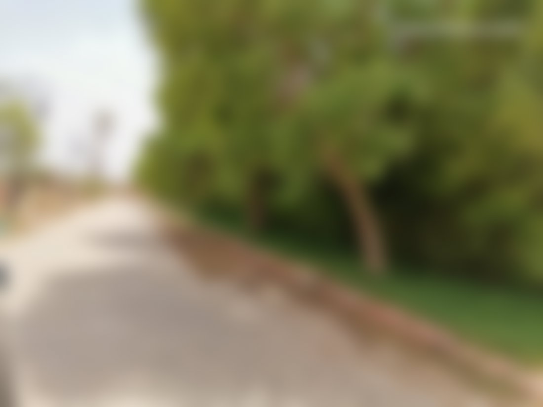 ضَيعة فلاحية 73 هكتار للبيع بضواحي العرائش