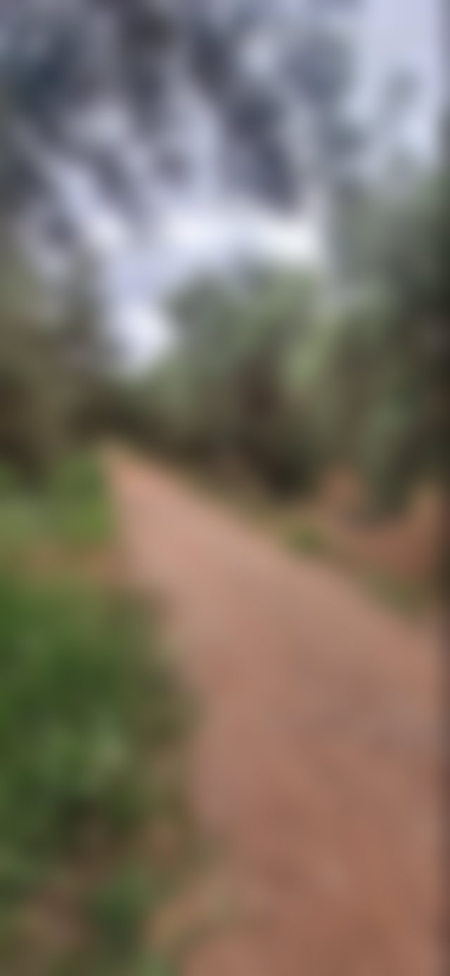 أرض بمساحة 6.5 هكتار للبيع على طريق أمزميز في مراكش — 2