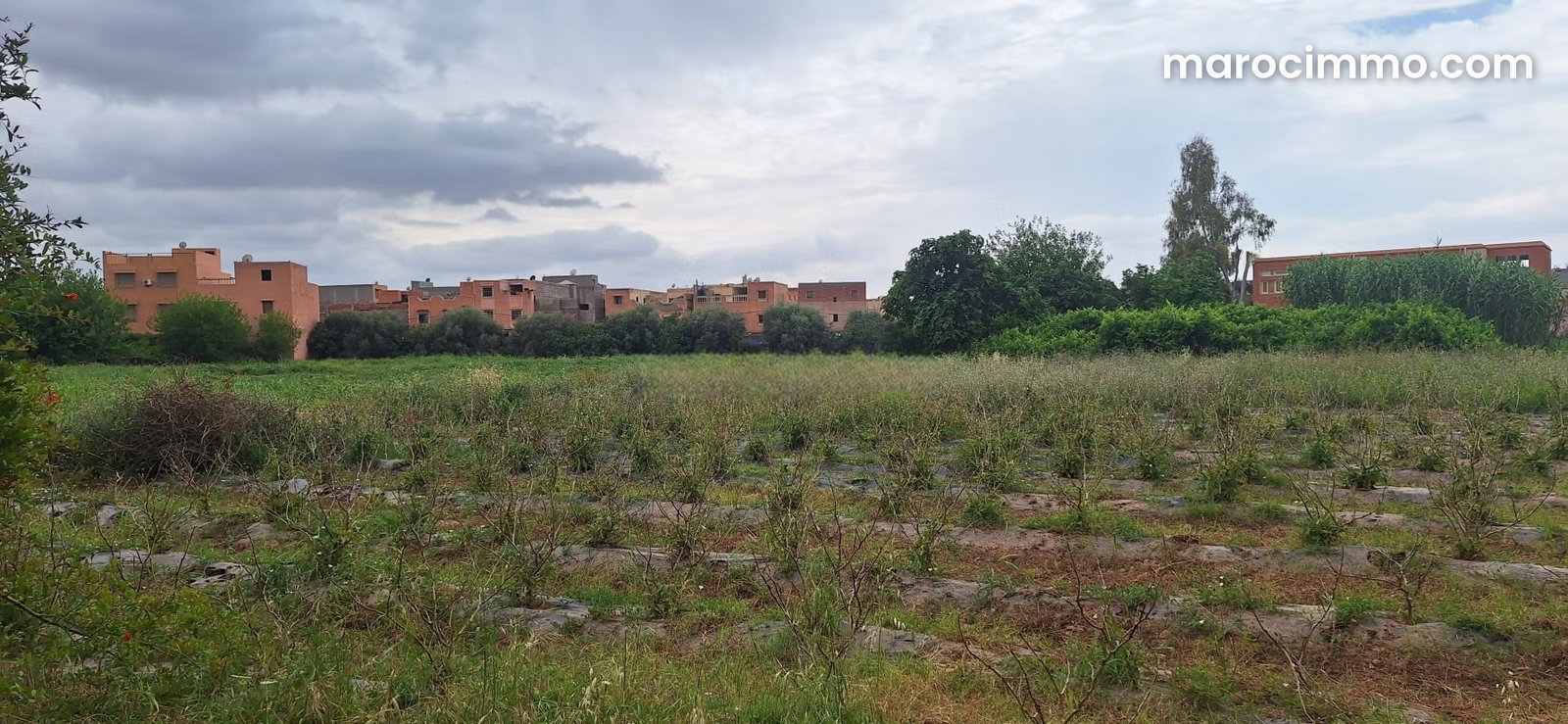 6.5 ha Plot for Sale on Amizmiz Road, Marrakech — Marrakesh