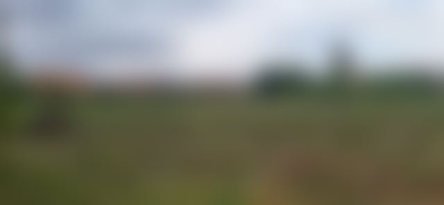 6.5 ha Plot for Sale on Amizmiz Road, Marrakech — Marrakesh