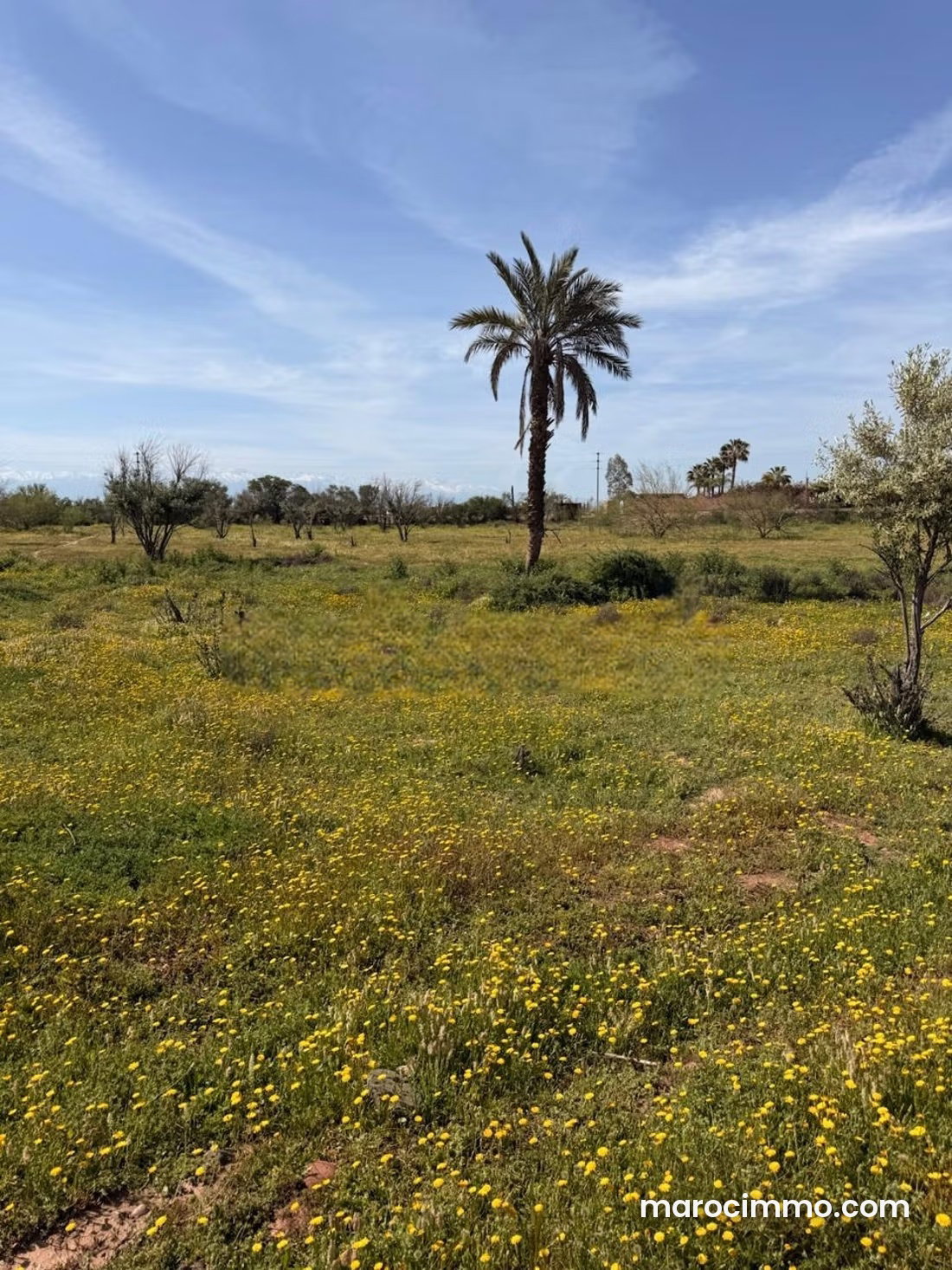 2-Hectare Plot on the Fez Road in Marrakech with Atlas Mountain Views — Marrakesh