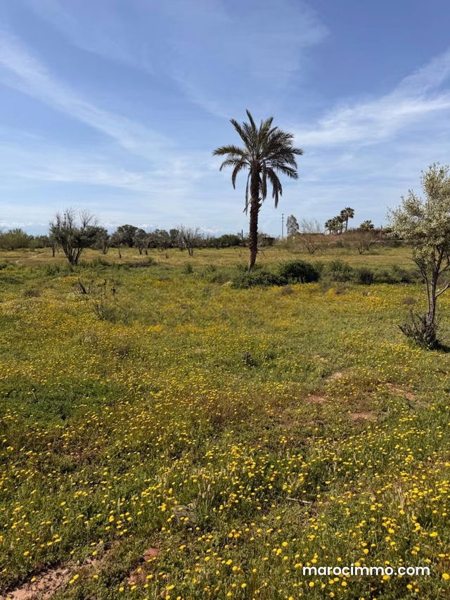 2-hectare land titled, unobstructed view, 15 km from Marrakech — Marrakesh