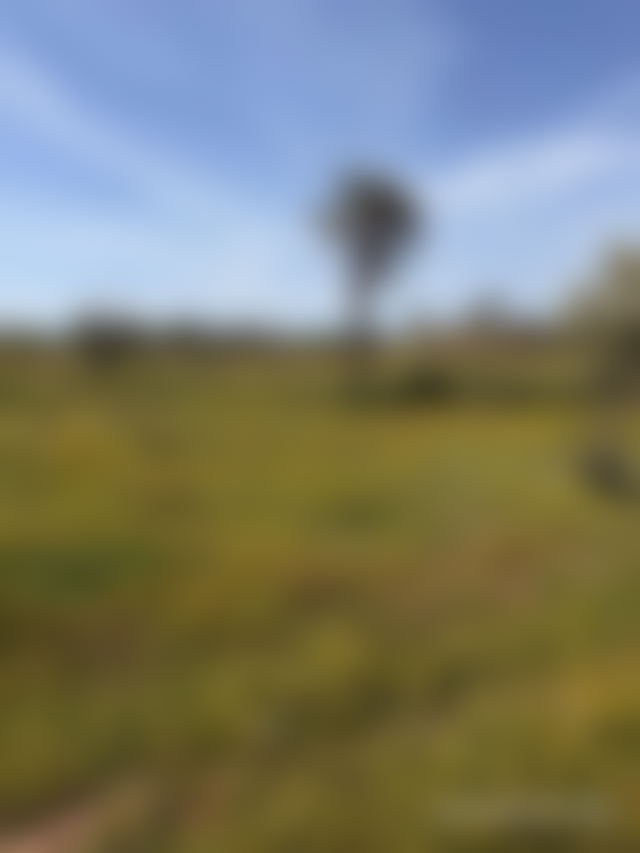 2-Hectare Plot on the Fez Road in Marrakech with Atlas Mountain Views — Marrakesh