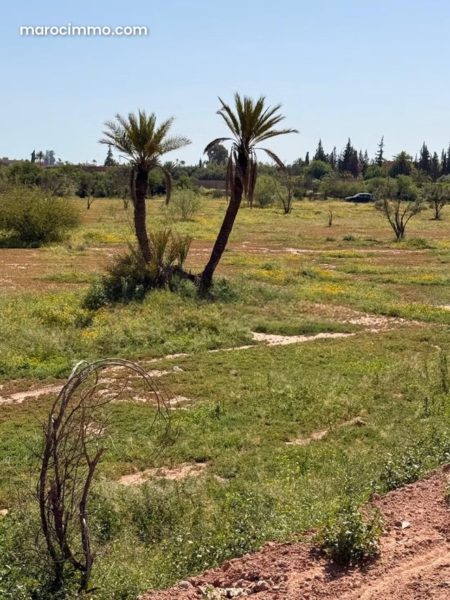 2-hectare land titled, unobstructed view, 15 km from Marrakech — 5