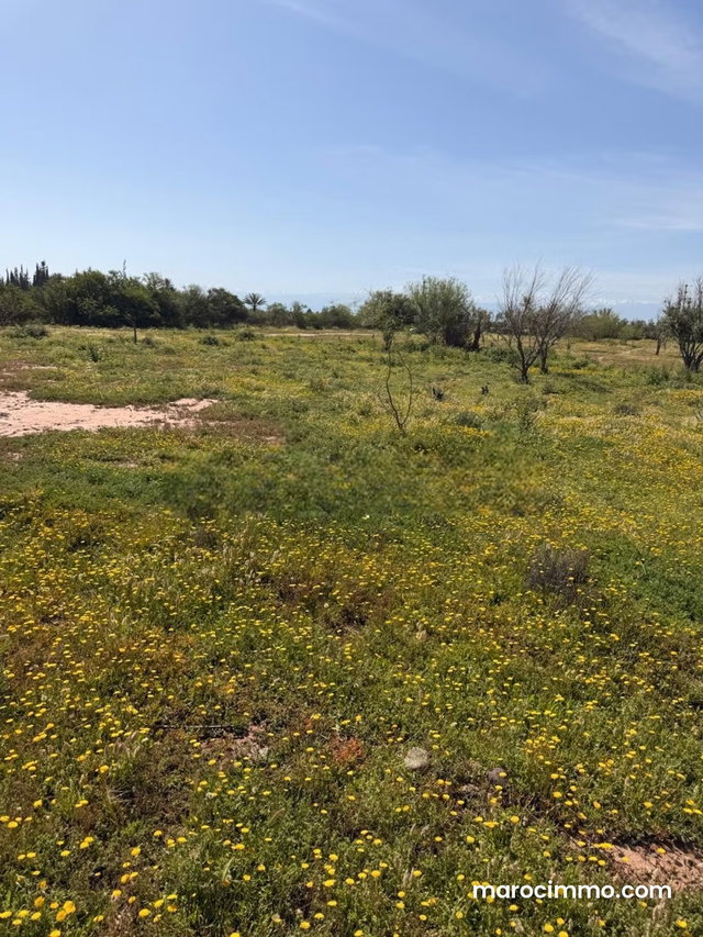 2-hectare land titled, unobstructed view, 15 km from Marrakech — 2