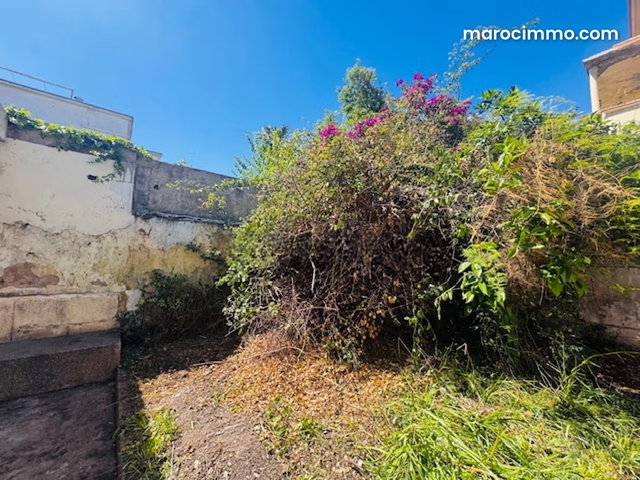 Commercial Villa on bd Nador Rare — 5