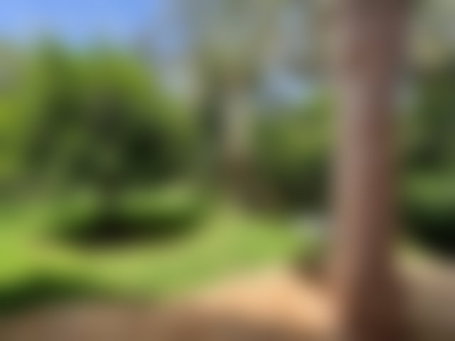 2-Bedroom Apartment with Garden, Palmeraie, Marrakech — 2