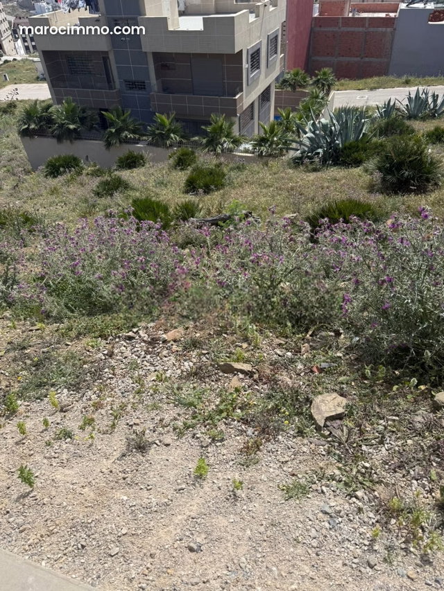 Terrain pour villa à vendre Sania — 2