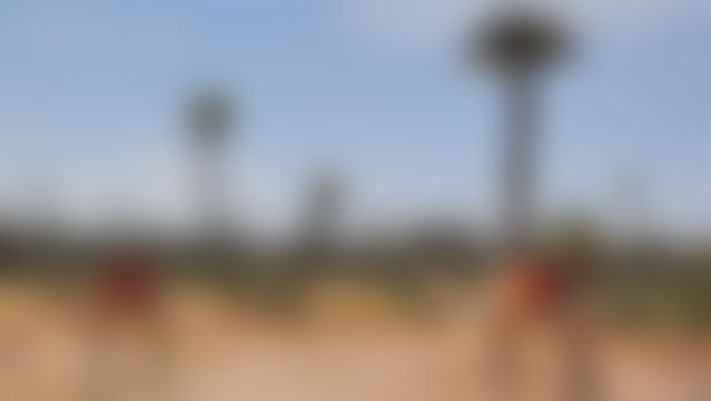 Terrain 400 m² à la Palmeraie Marrakech idéal villa — Marrakech