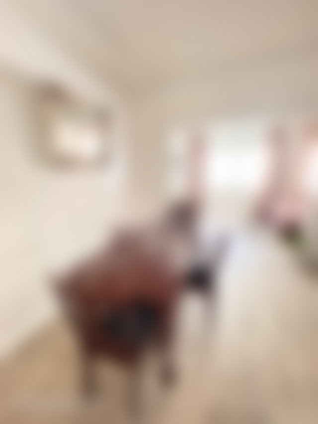 Appartement meublé, 1 chambre, Gauthier, Casablanca — 4