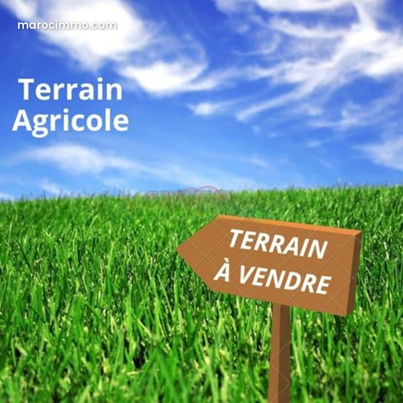 Terrain agricole de 47 hectares, route d'Ourika à Marrakech — Marrakech