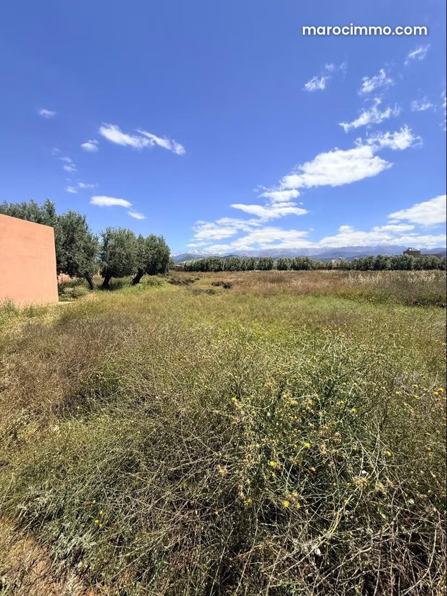 Beau terrain à la vente à Route de l'Ourika. Surface de 10850 m² — 5