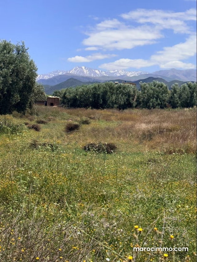 Beau terrain à la vente à Route de l'Ourika. Surface de 10850 m² — 3