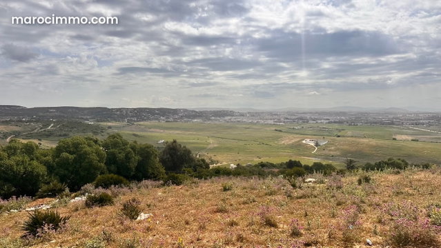 Terrain en vente à jbila. Surface de 1165 m² — 2