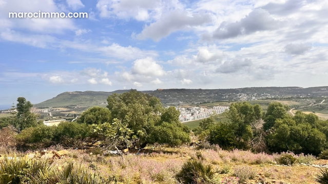 Terrain en vente à jbila. Surface de 1165 m² — 5