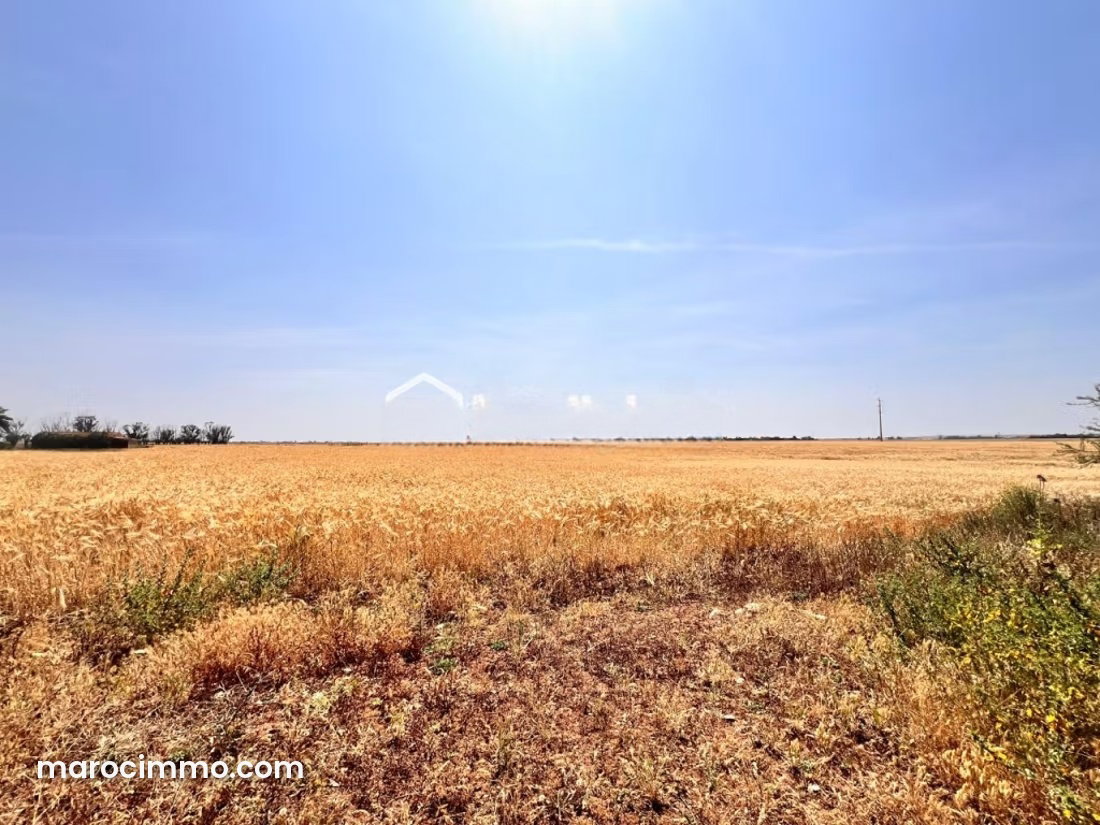 80-Hectare Plot of Land for Sale in Oulad Salah, Exceptional Potential — Oulad Salah