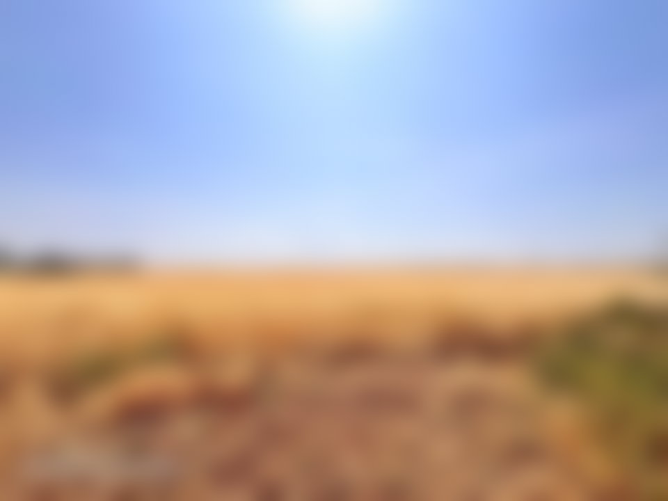 أرض استثمارية شاسعة للبيع في أولاد صالح