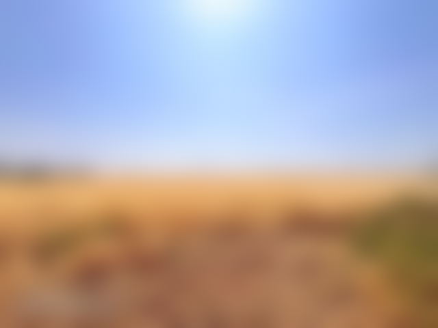 80-Hectare Plot of Land for Sale in Oulad Salah, Exceptional Potential — Oulad Salah