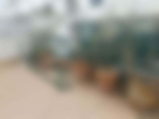 Two-Bedroom Apartment with Terrace in Agdal, Rabat — Rabat