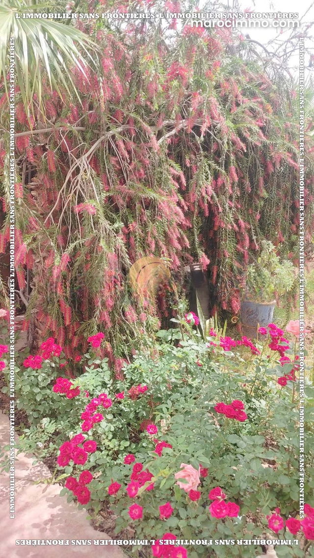 Rent Furnished House – Tamazouzt, near Marrakech — 3