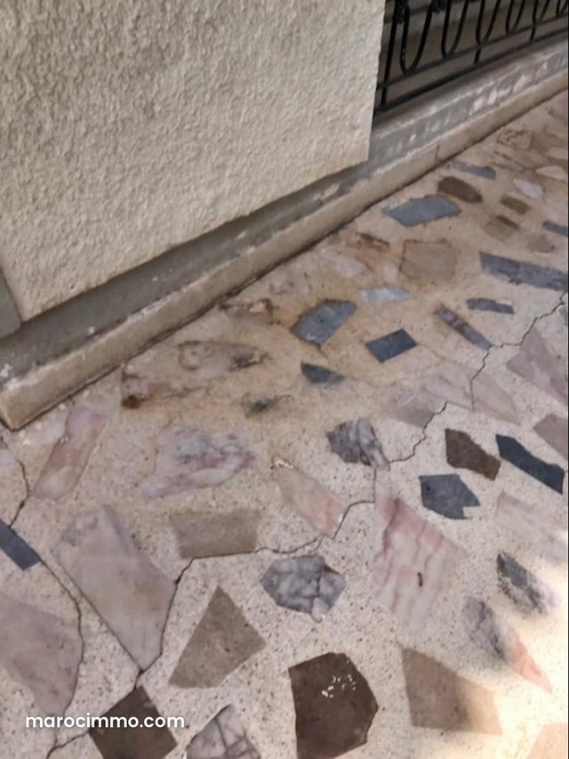 House for renovation in Oasis neighborhood, 552 sqm — 5
