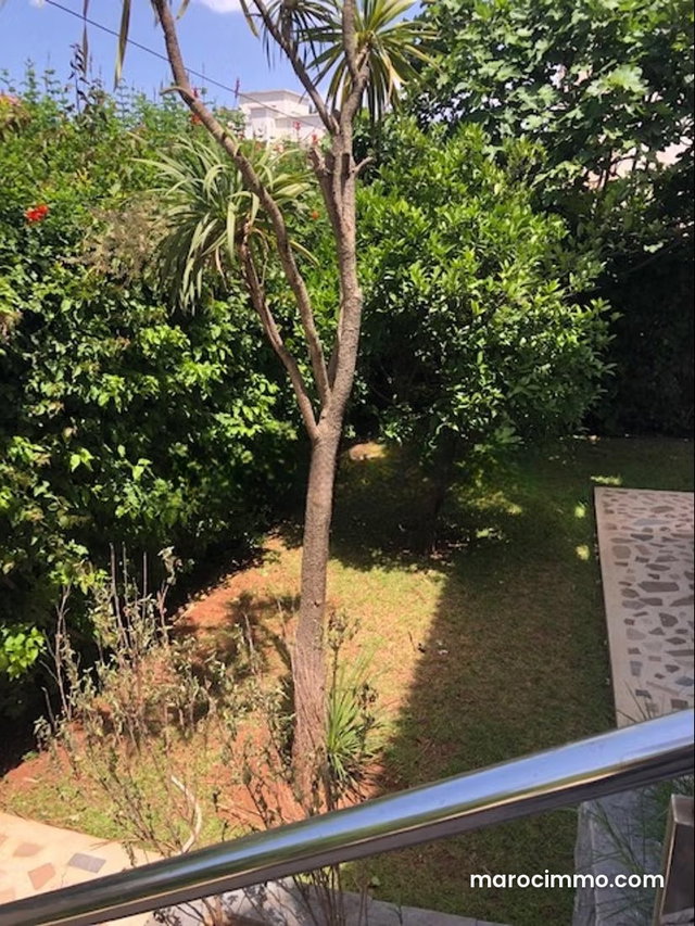 House for renovation in Oasis neighborhood, 552 sqm — 4