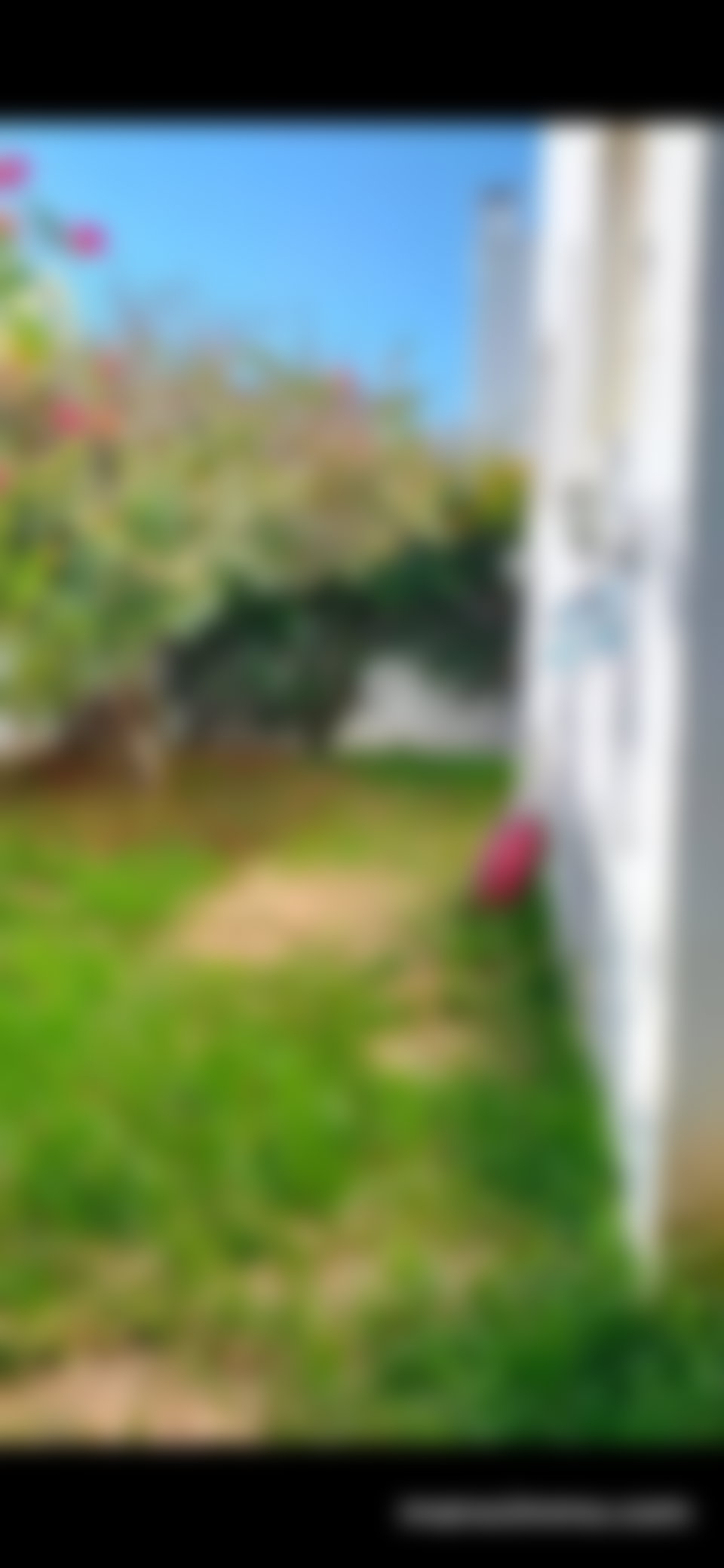 فيلا بحديقة وارفة للبيع بحي حسان في الرباط