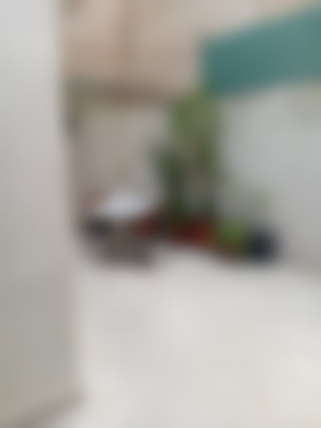 Appartement 4 pièces avec terrasse au Nassim Casablanca — 5