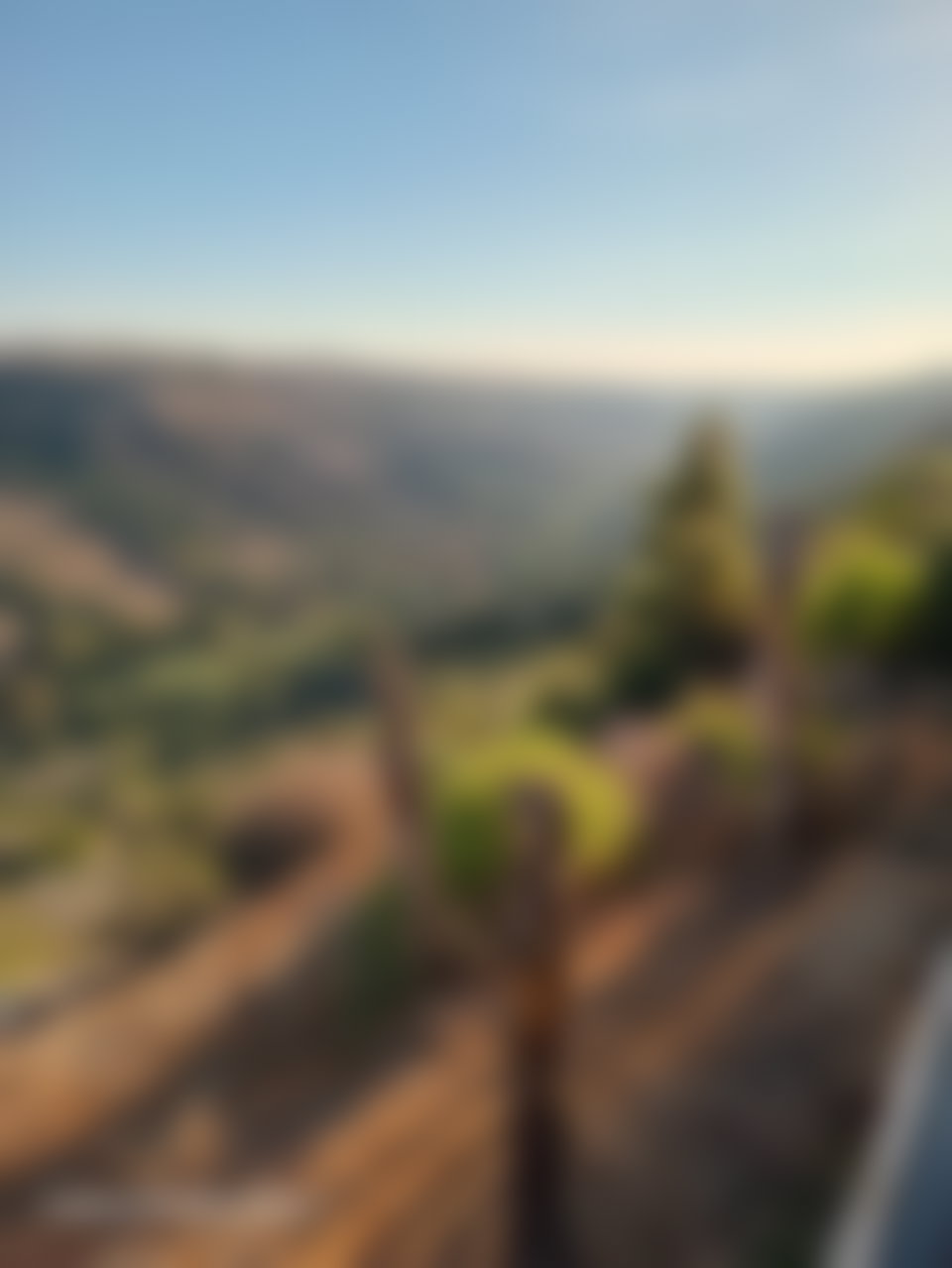 أرض رحبة للبيع في قلب حيّ السويسي بالرباط