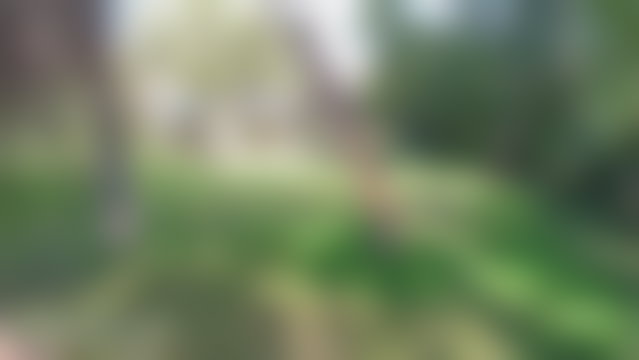 أرض رحبة للبيع في قلب حيّ السويسي بالرباط — 4