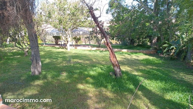 Terrain d’exception à vendre, avenue Mohamed 6 — 4