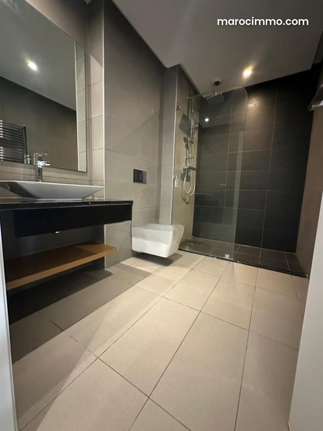 Luxurious Studio for Rent — 4