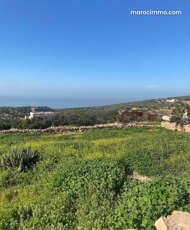 Terrain titré a vendre a taghazout ifraden — 2
