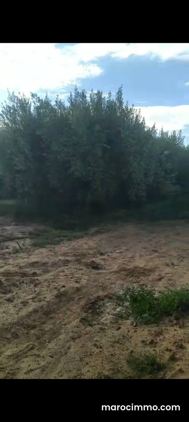 Ferme de 10 hectares super équipée — 3
